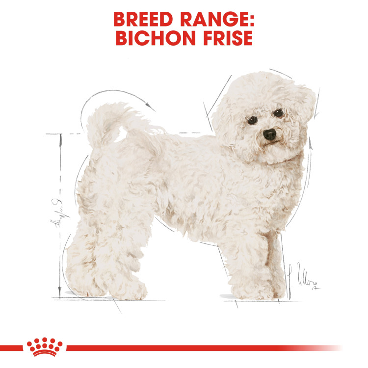 royalcanin-adult-bison1.png