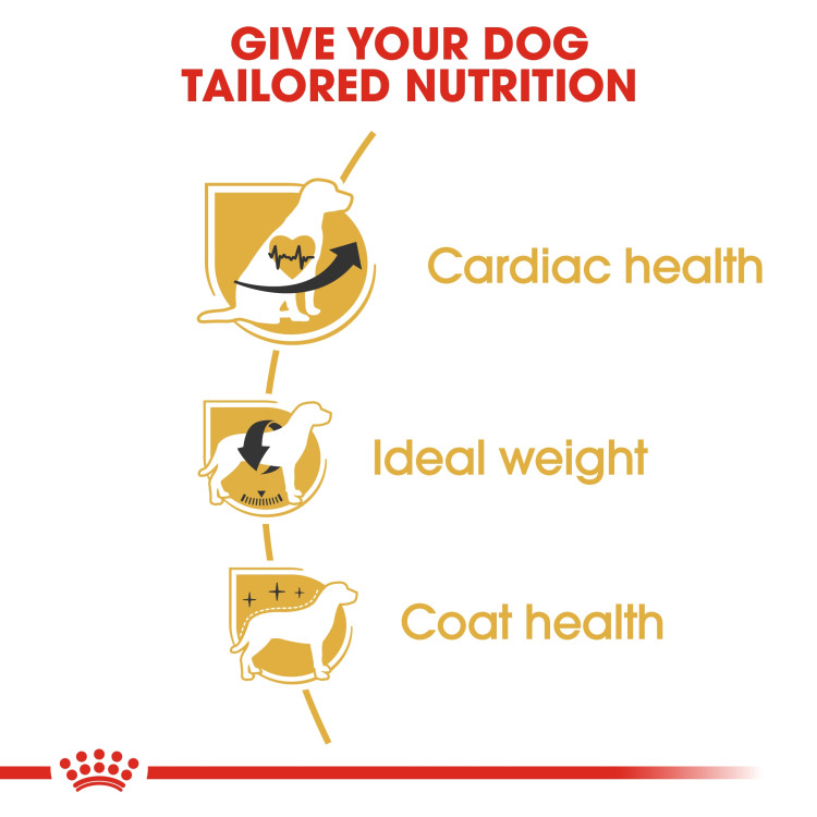 royalcanin-adult-cavaliar1.png