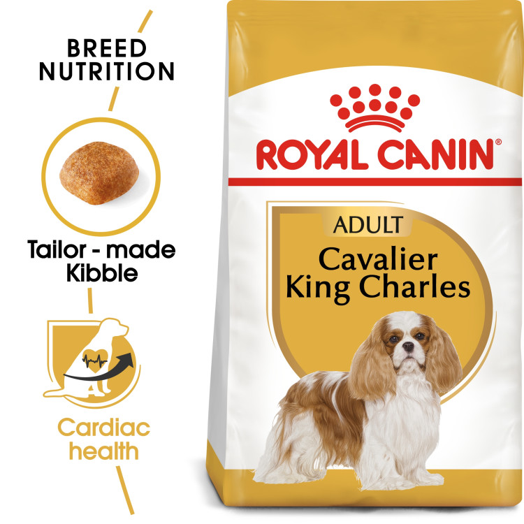 royalcanin-adult-cavalier.png