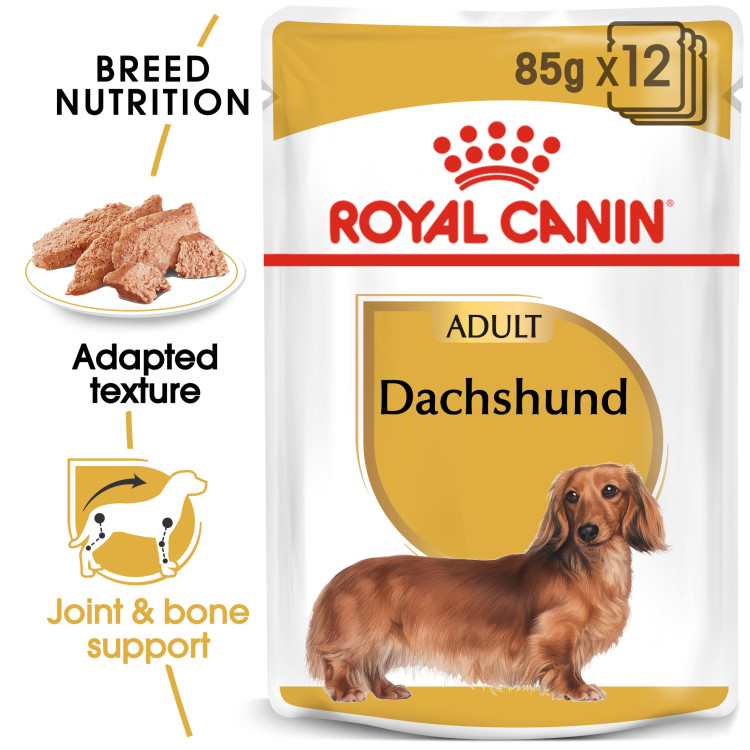 royalcanin-adult-dachshund.png