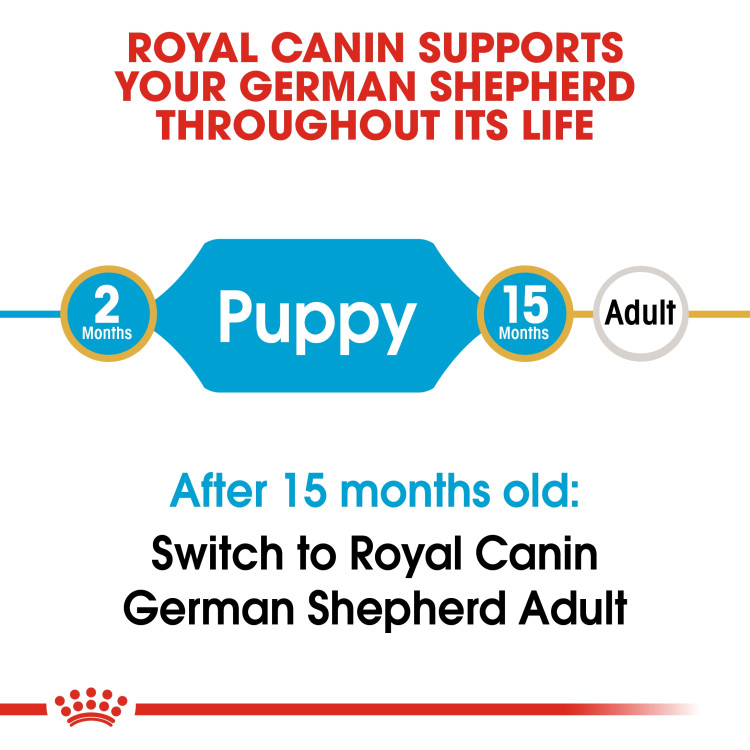 royalcanin-puppy-germanshephered1.png