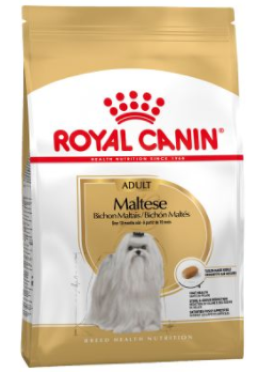 rc-adult-maltese.png