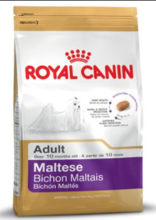 rc-adult-maltese1.png
