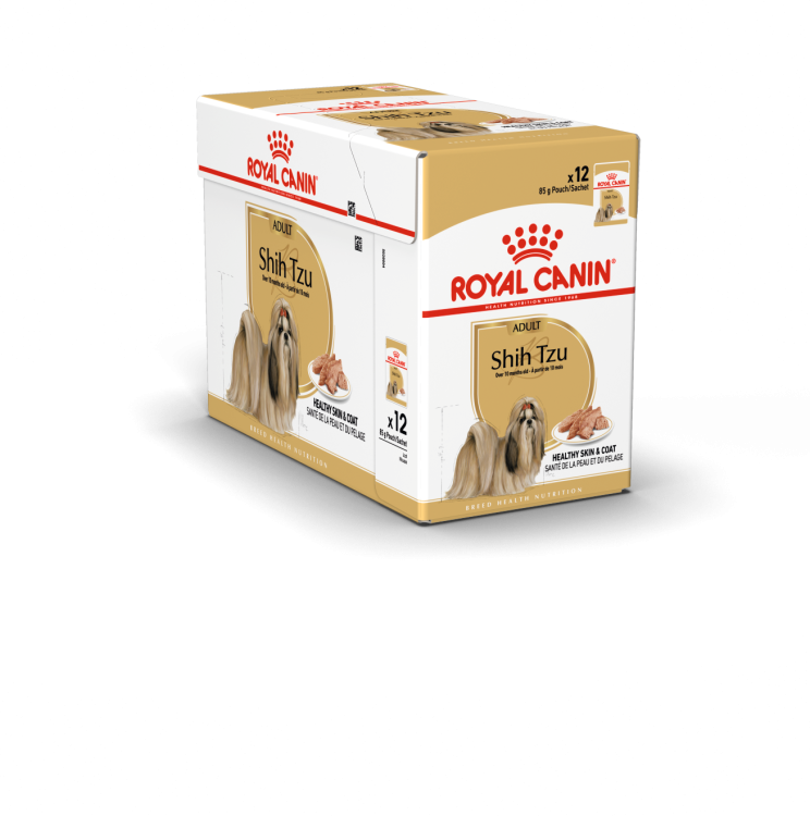 rc-adult-shihtzu-85g1.png