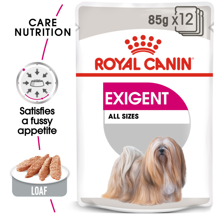 rc-allsize-exigent1.png