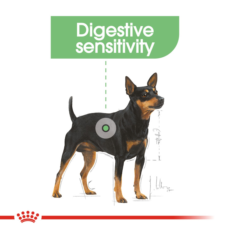 rc-mini-digestive1.png