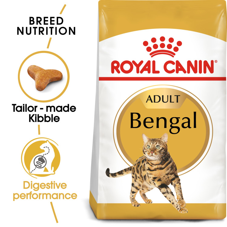 rc-adult-bengal.png