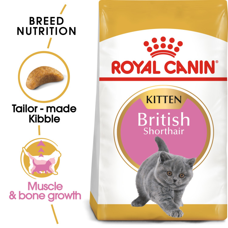 rc-kitten-short.png
