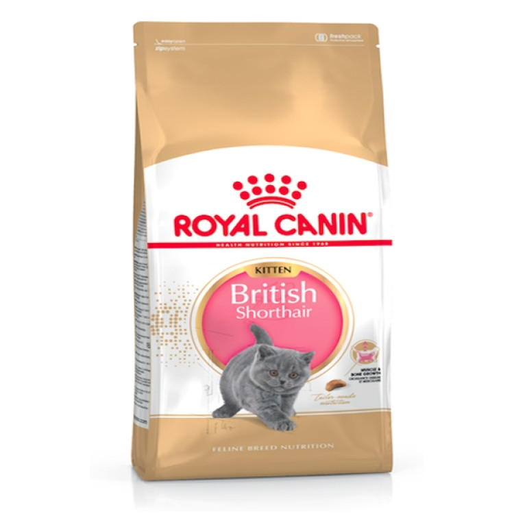 rc-kitten-short1.png