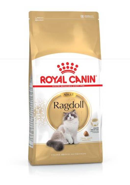 rc-adult-ragdoll.png