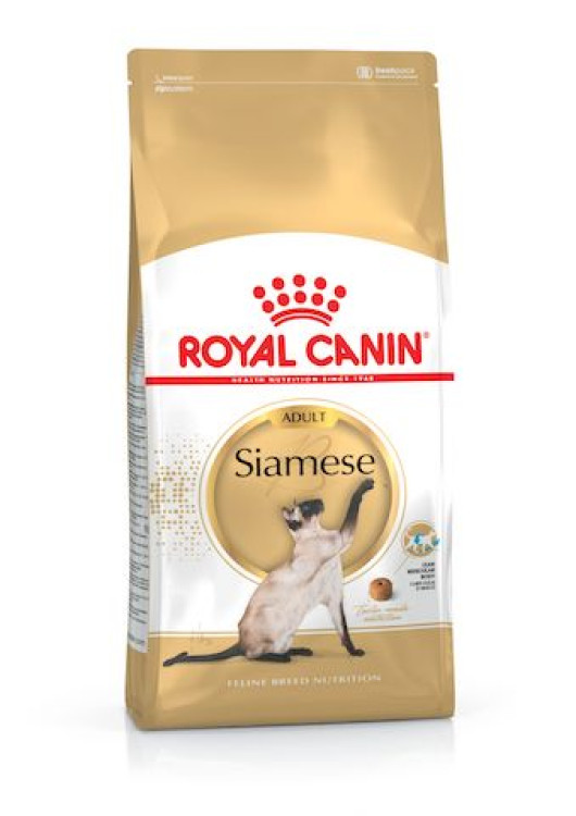 rc-adult-siamese.png