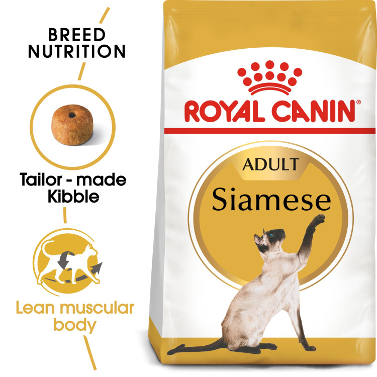 rc-adult-siamese1.png