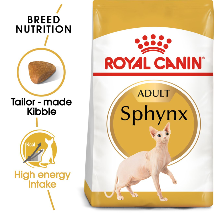 rc-adult-sphynx.png