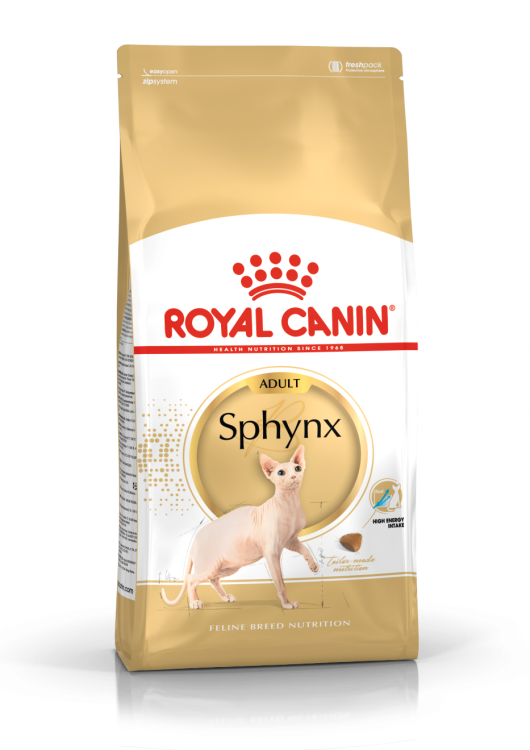rc-adult-sphynx1.png