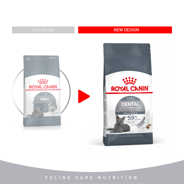 rc-cat-dentalcare1.png