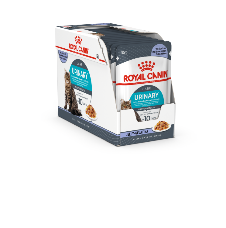 rc-cat-pouch-urinary.png