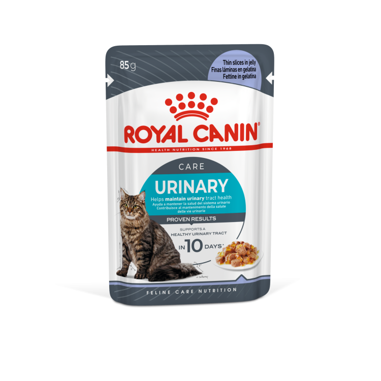 rc-cat-pouch-urinary1.png