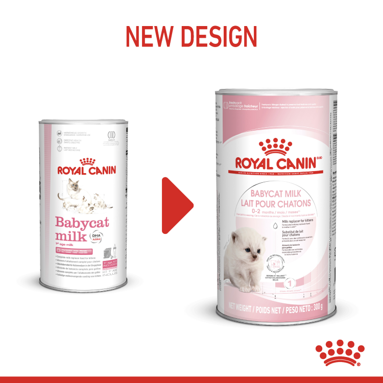 rc-cat-milk.png