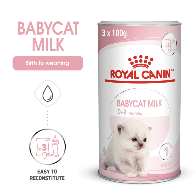 rc-cat-milk1.png