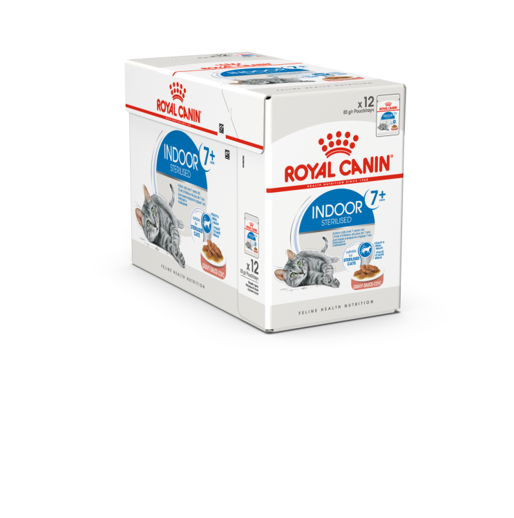 rc-cat-indoor sterlized-85g1.png