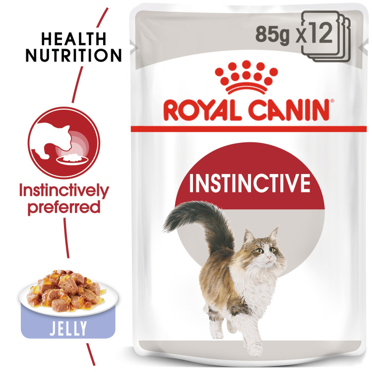 rc-cat-instinctive-jelly1.png