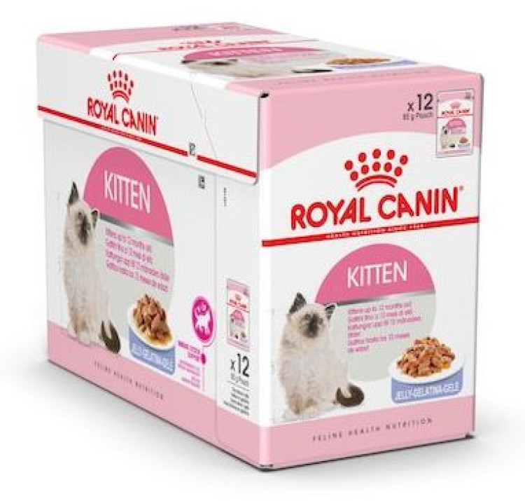 rc-cat-kitten-jelly.png
