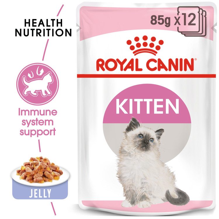 rc-cat-kitten-jelly1.png