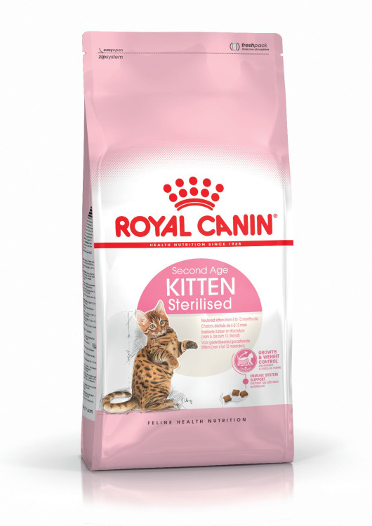 rc-cat-kitten sterlized.png