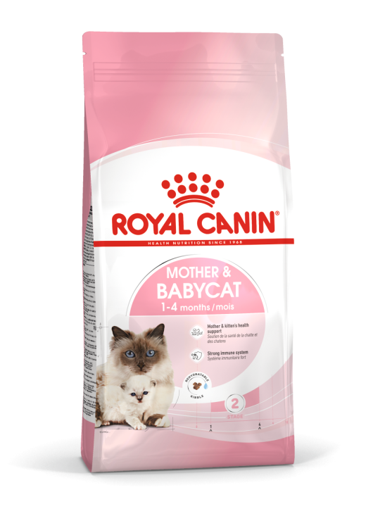 rc-mother&babycat.png