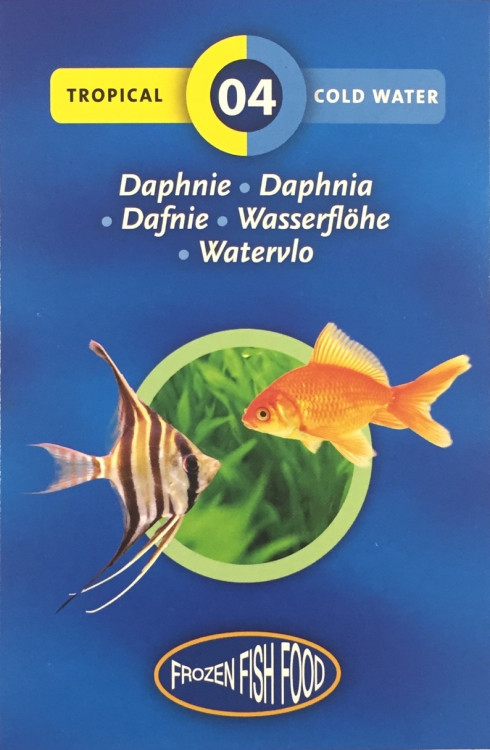 3F-fish-daphnia.png