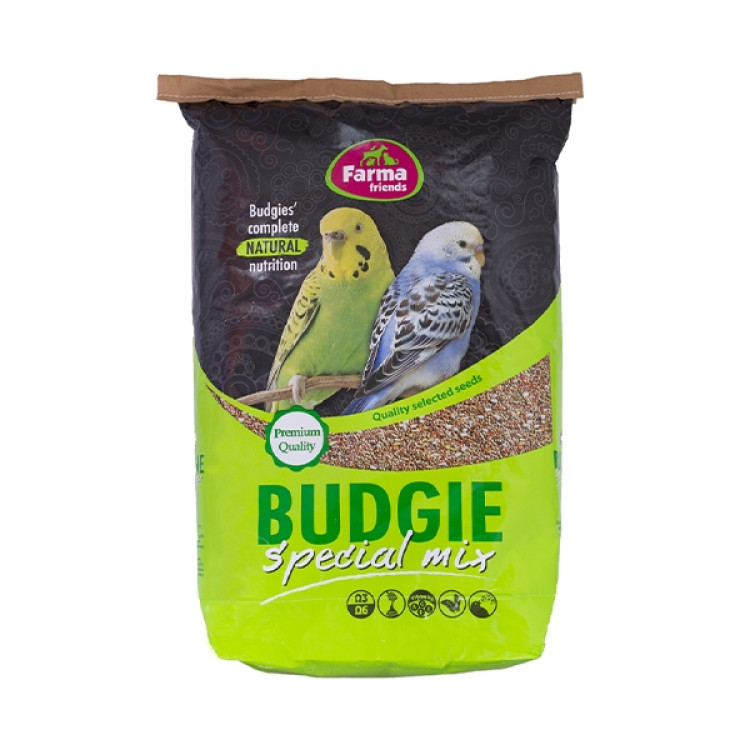 bird-budgiemix.png