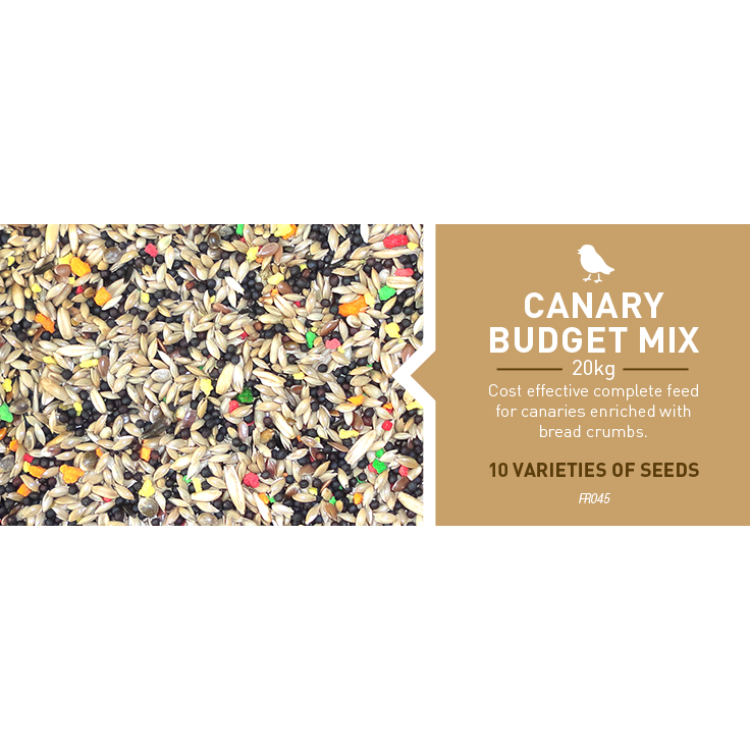 canara-budgie.png