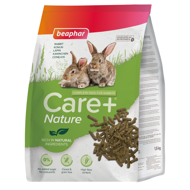 beapher-rabbit-rabbit.png