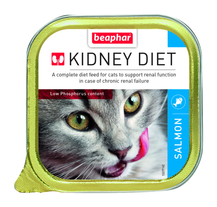beapher-cat-kidney diet-salmon.png