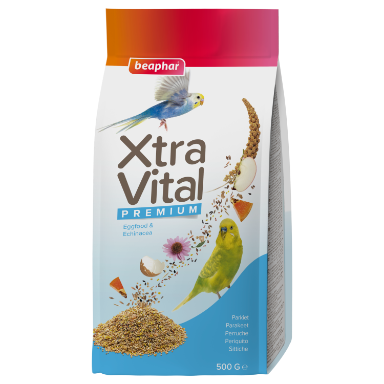 beapher-bird-extravital.png