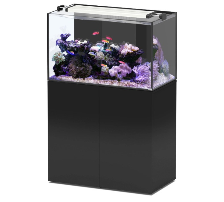 aquatlantis-fishcabinet.png