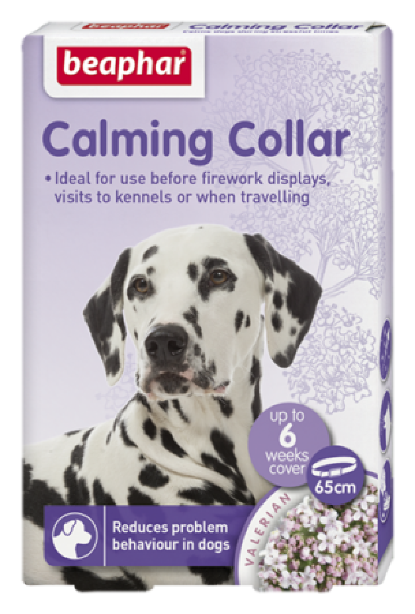 beapher-dog-collar.png