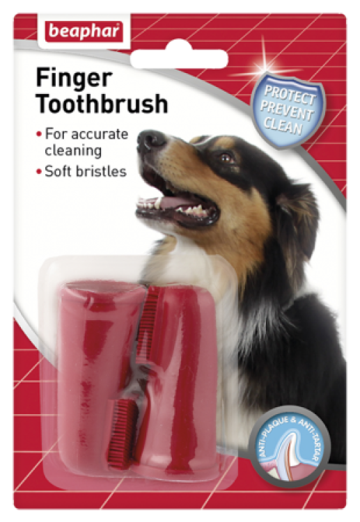 beapher-dog-finger-toothbrush.png