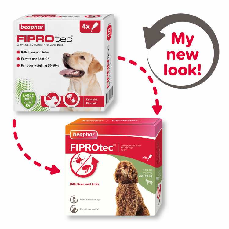beapher-dog-large-fiprotec1.png