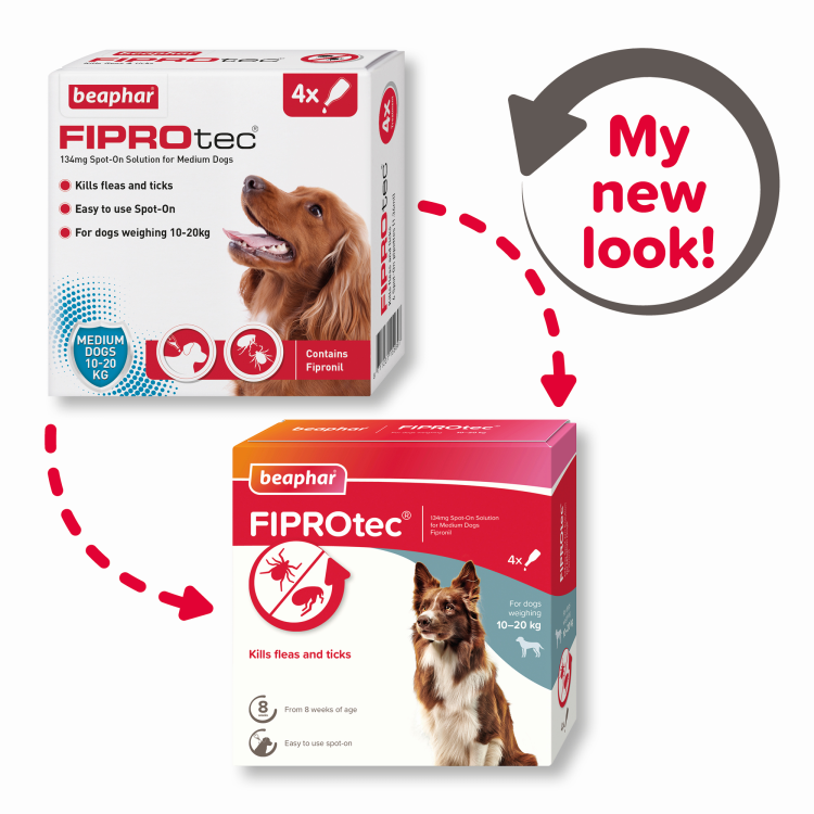 beapher-dog medium-fiprotec1.png
