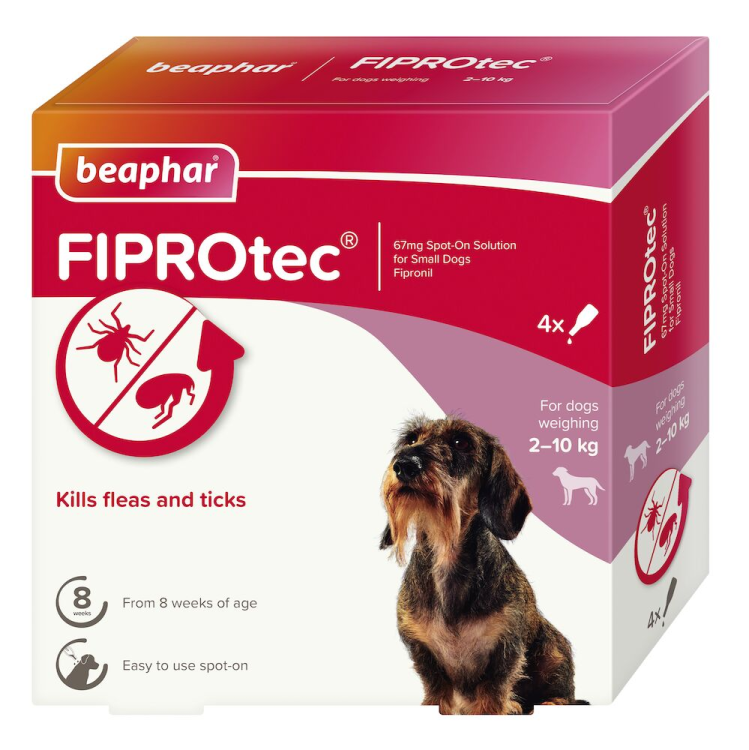 beapher-small dog-fiprotec.png