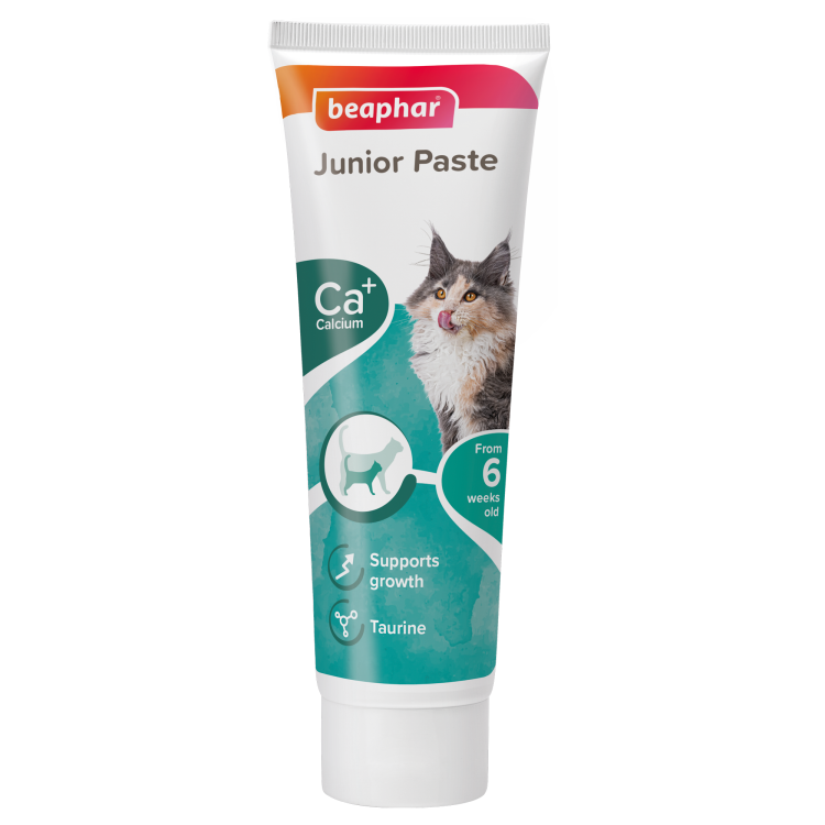 beapher-cat-junior paste.png