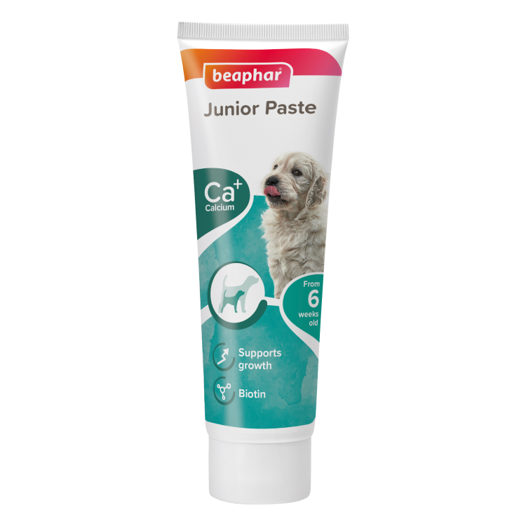 beapher-dog-junior paste.png