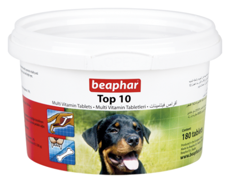 beapher-dog-top10-1.png