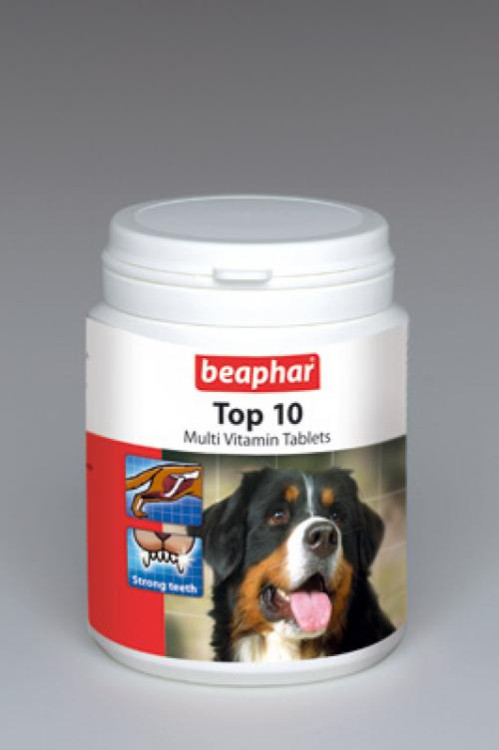 beapher-dog-top10.png
