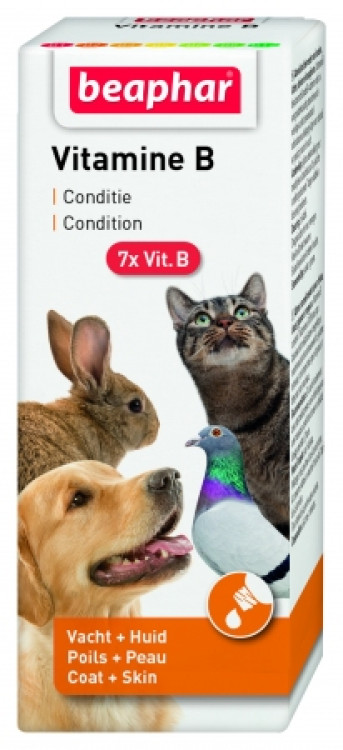 beapher-bird-vitamin B.png