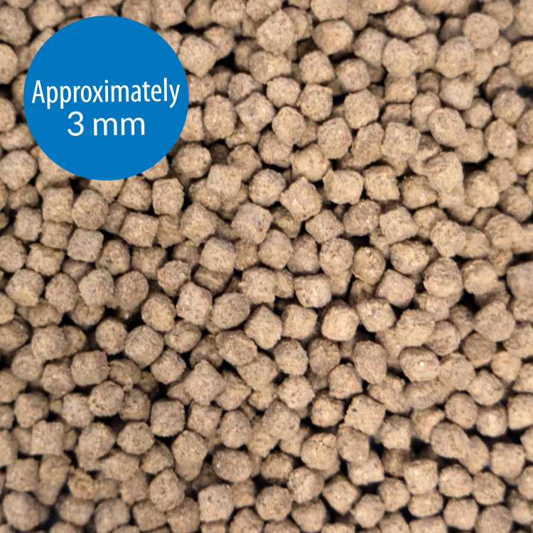 API-API Bottom Feeder Pellets with Squid.png