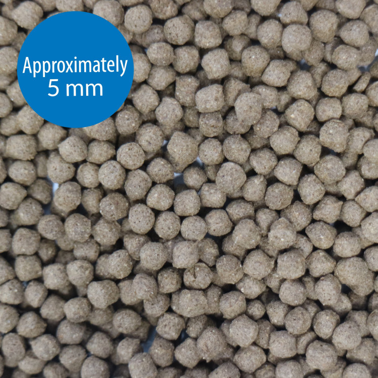 API-API Large Pellets Cichlid Fish Food 7.1 oz1.png